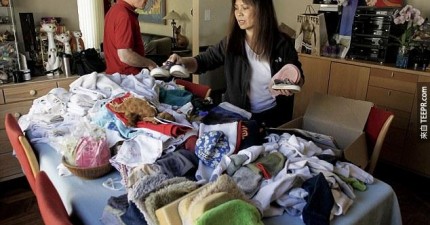 貓咪晚上偷東西