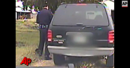 貓咪爬到警察身上