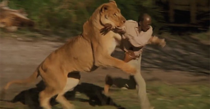 全世界最危險影片