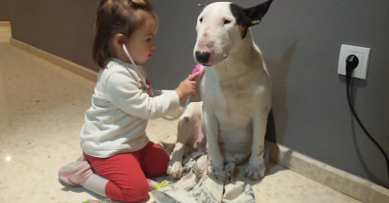 小妹妹跟賤狗玩扮醫生