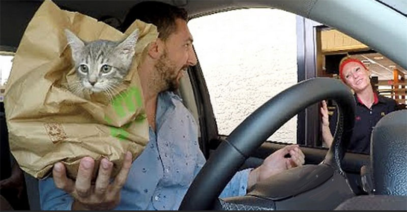 貓咪得來速惡作劇