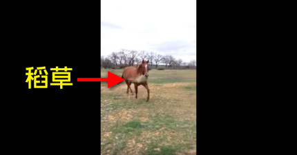 馬分食物給女友吃